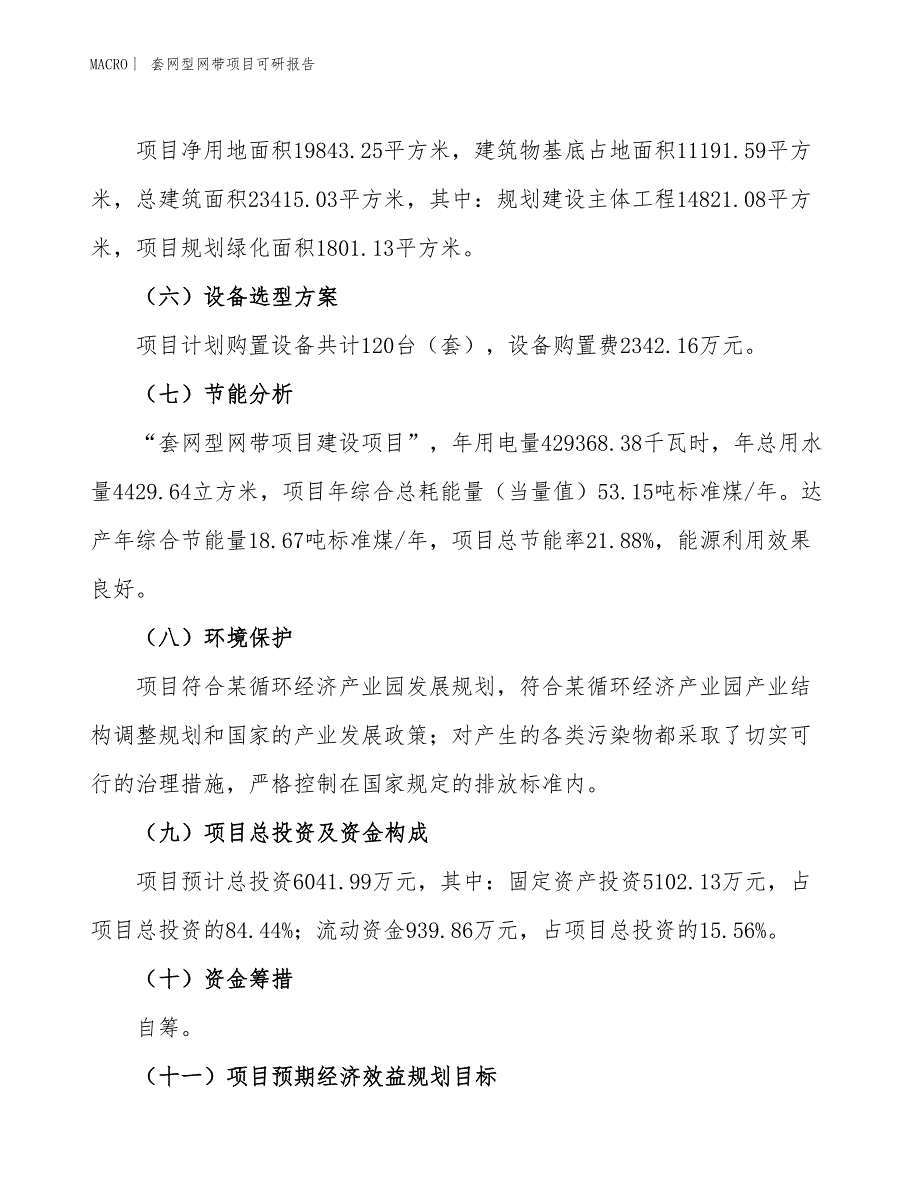 套网型网带项目可研报告_第3页