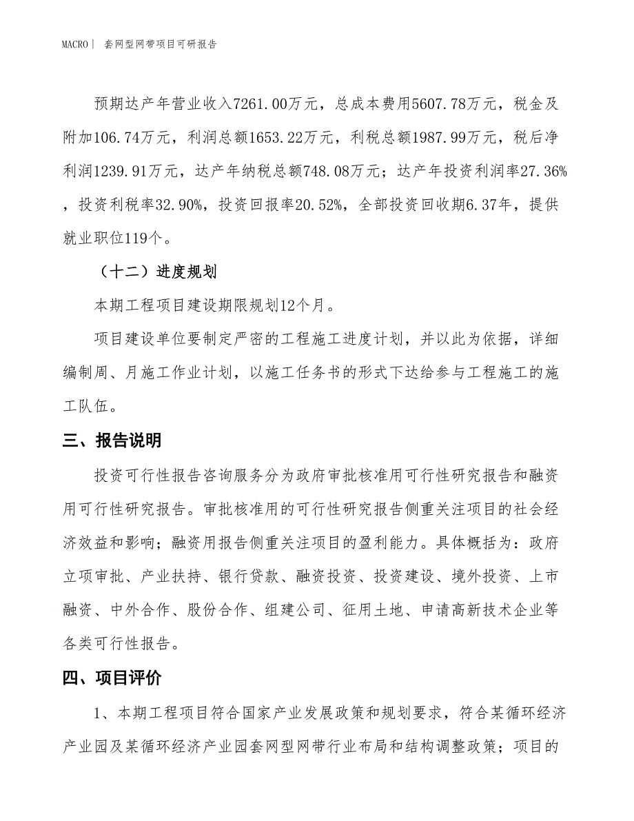 套网型网带项目可研报告_第4页