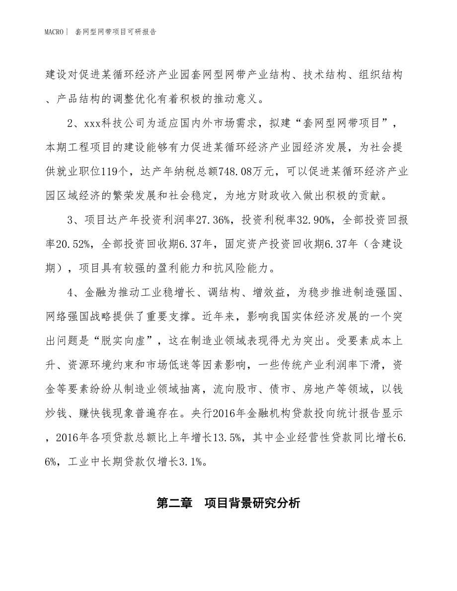 套网型网带项目可研报告_第5页