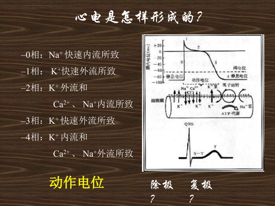 心电图讲座(上)剖析_第4页