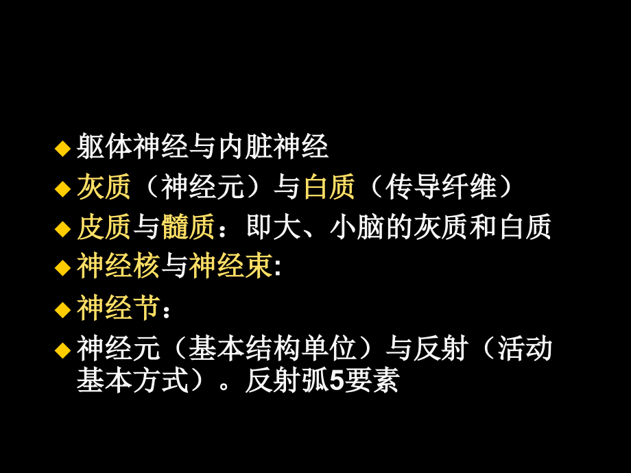 现代基础医学概论第三章--神经系统_第2页