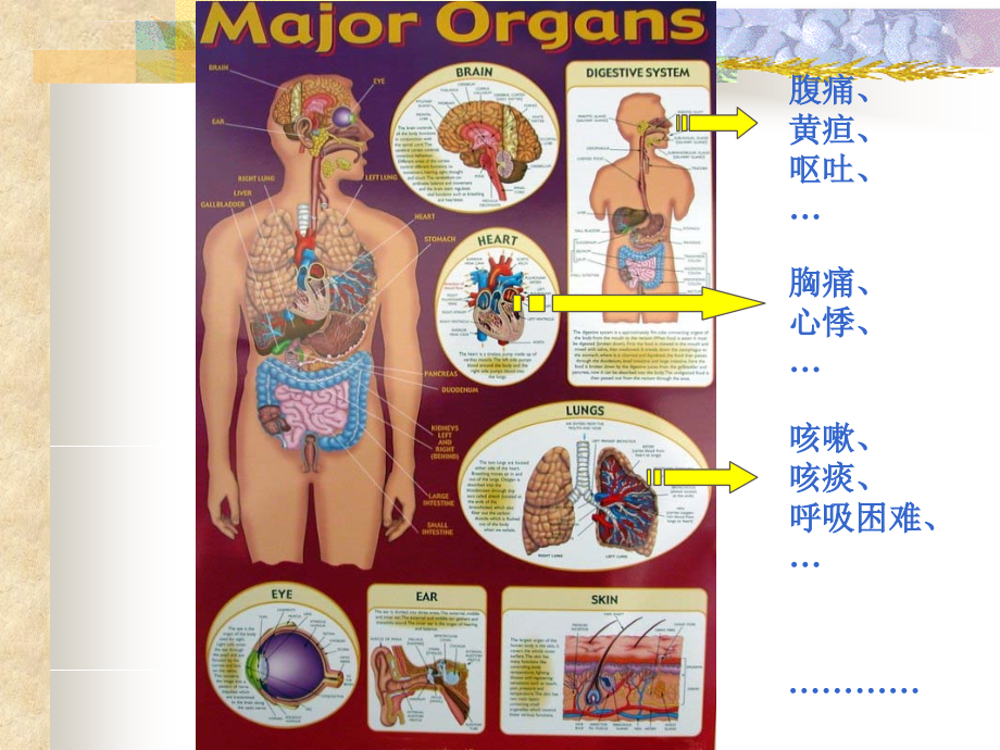 肾脏病症状学-刘莉_第3页