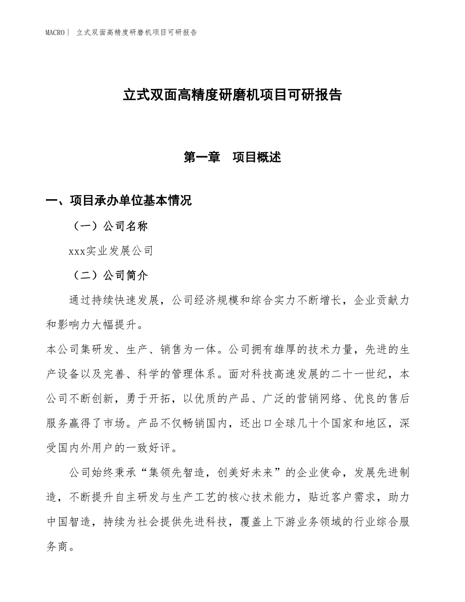 立式双面高精度研磨机项目可研报告_第1页