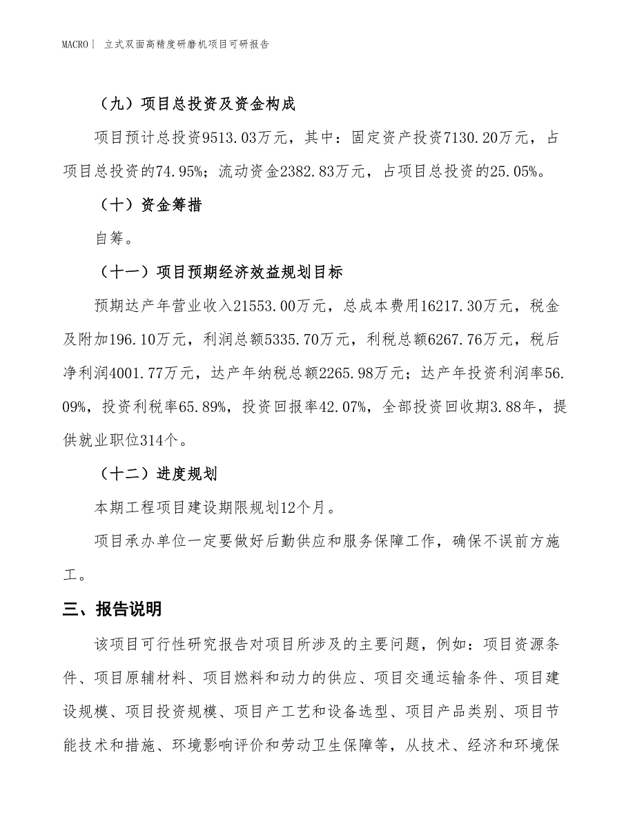 立式双面高精度研磨机项目可研报告_第4页