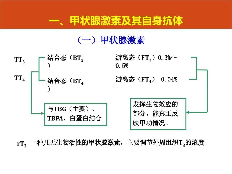 核医学内分泌系统剖析_第5页