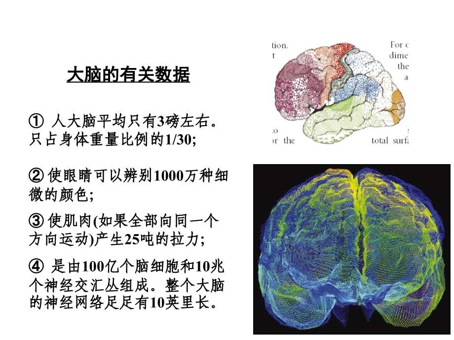 人工神经网络ann方法简介-ppt文档_第3页