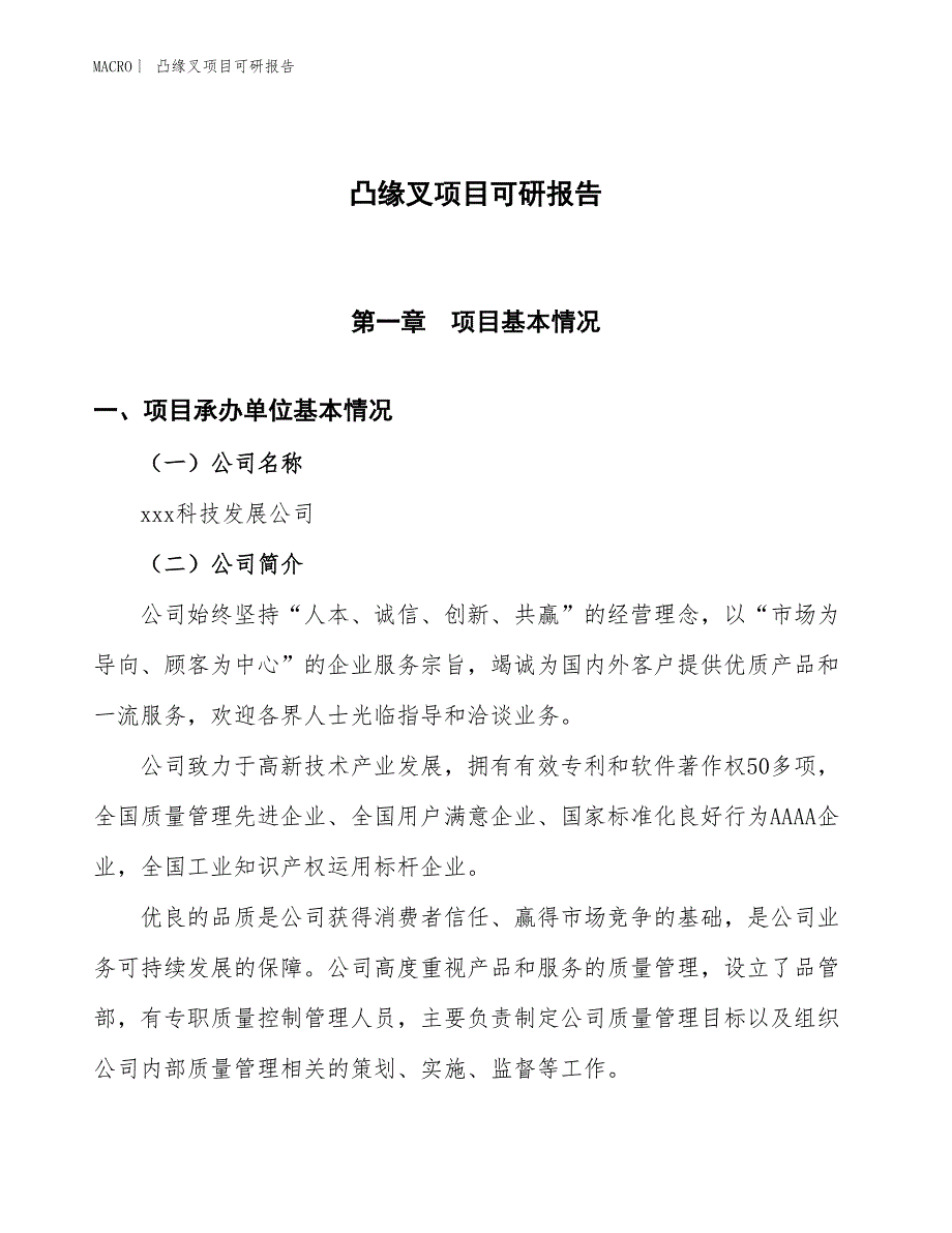 凸缘叉项目可研报告_第1页