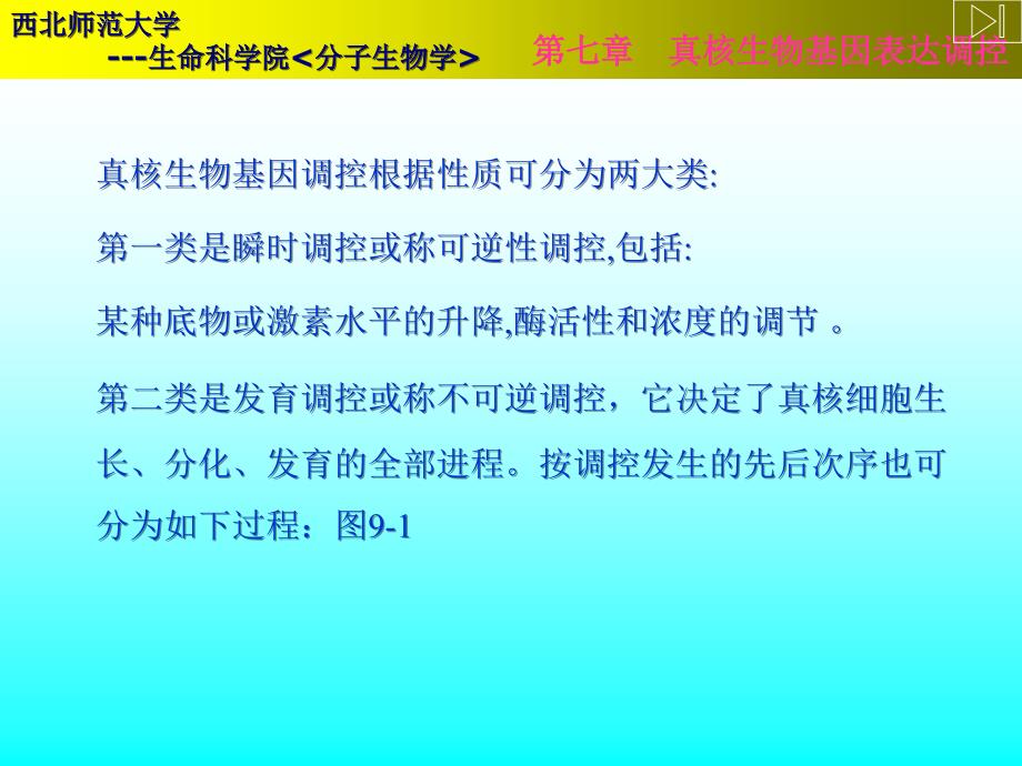 分子生物学课件--真核生物表达调控_第1页