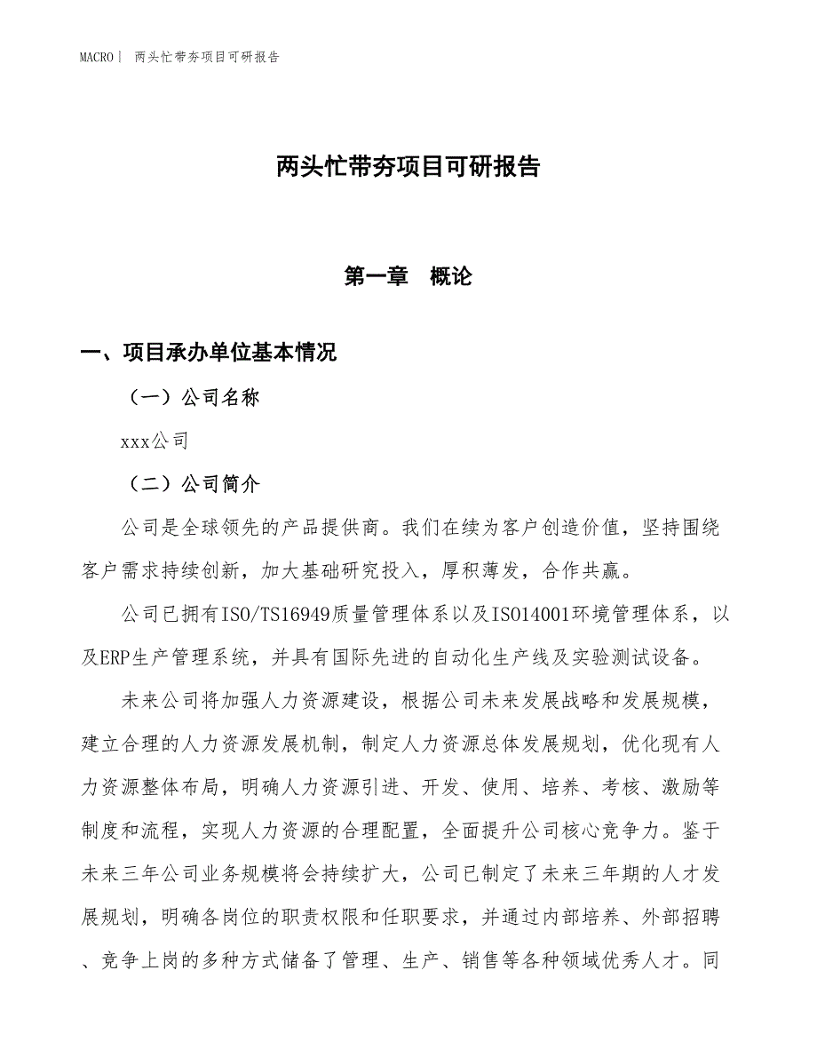 两头忙带夯项目可研报告_第1页