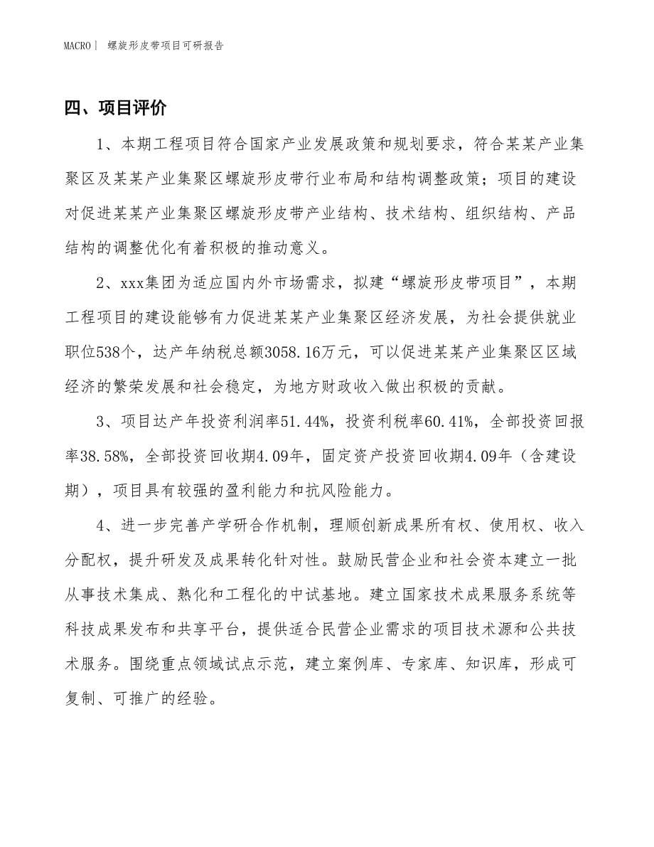 螺旋形皮带项目可研报告_第5页