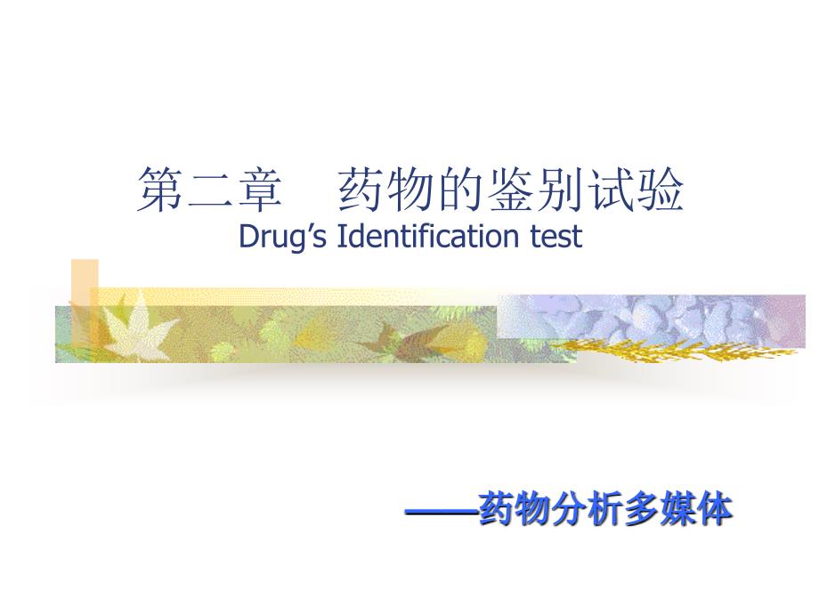 药物的鉴别试验identificationtest_第1页
