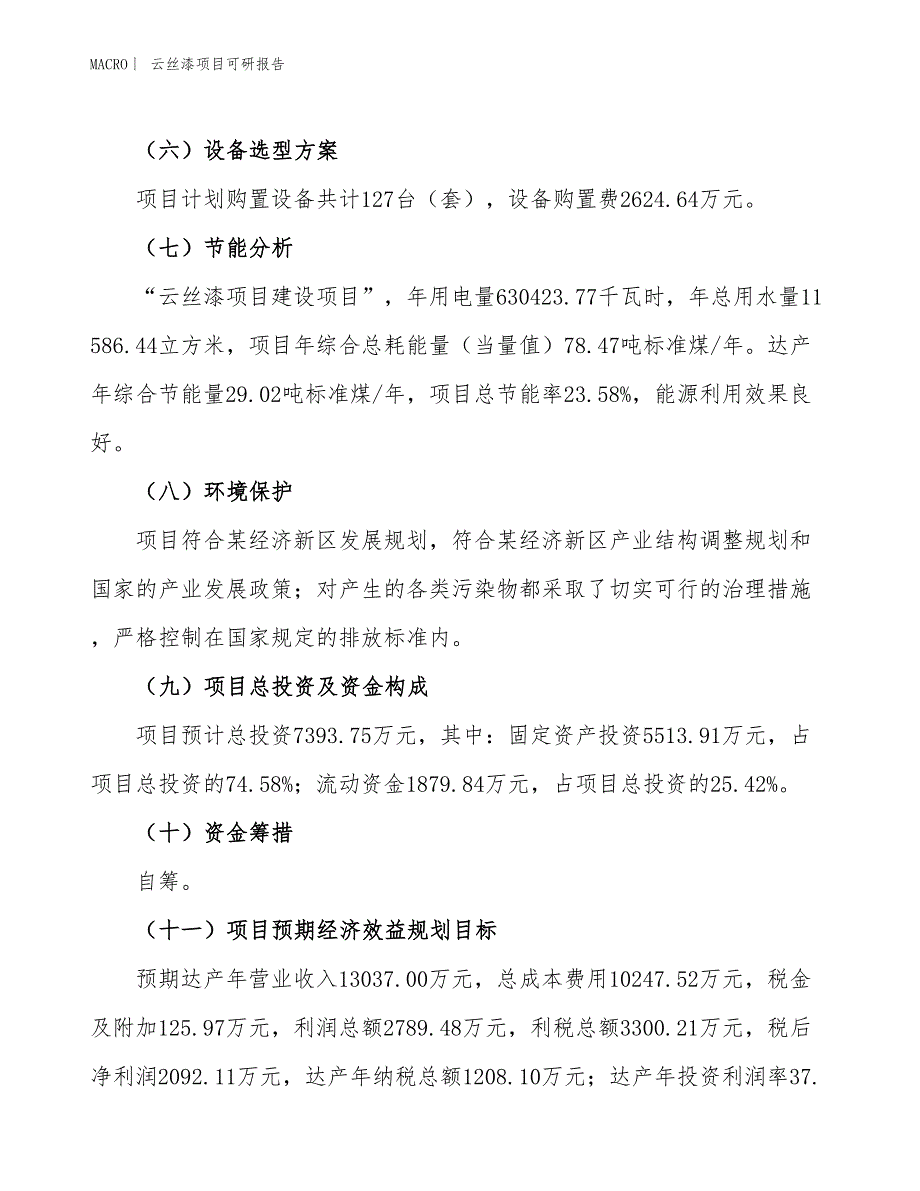 云丝漆项目可研报告_第3页