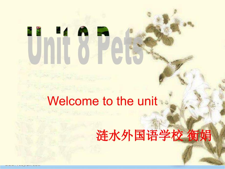 牛津译林版英语七下Unit8 Welcome to the unit课件_第1页