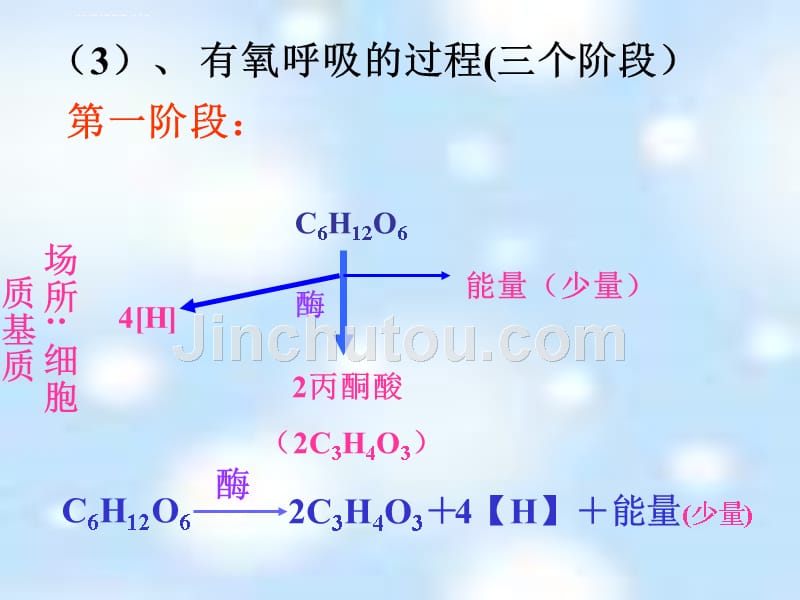 细胞呼吸课件(stone_第4页