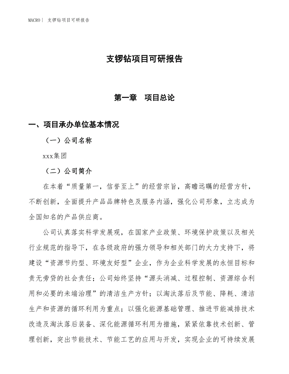 支锣钻项目可研报告_第1页