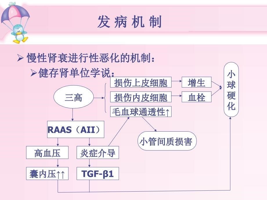 内科护理学泌尿系统cpr全解_第5页