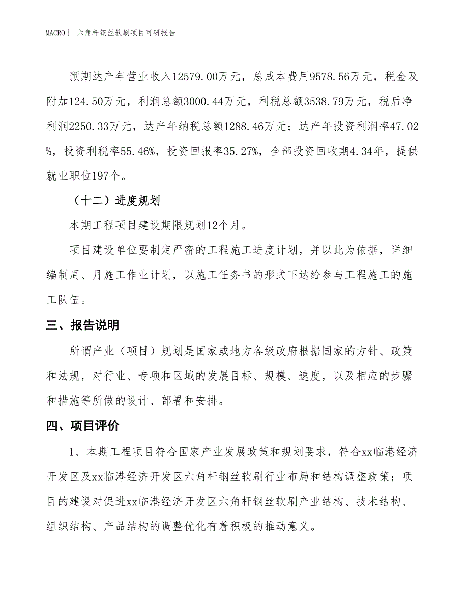 六角杆钢丝软刷项目可研报告_第4页