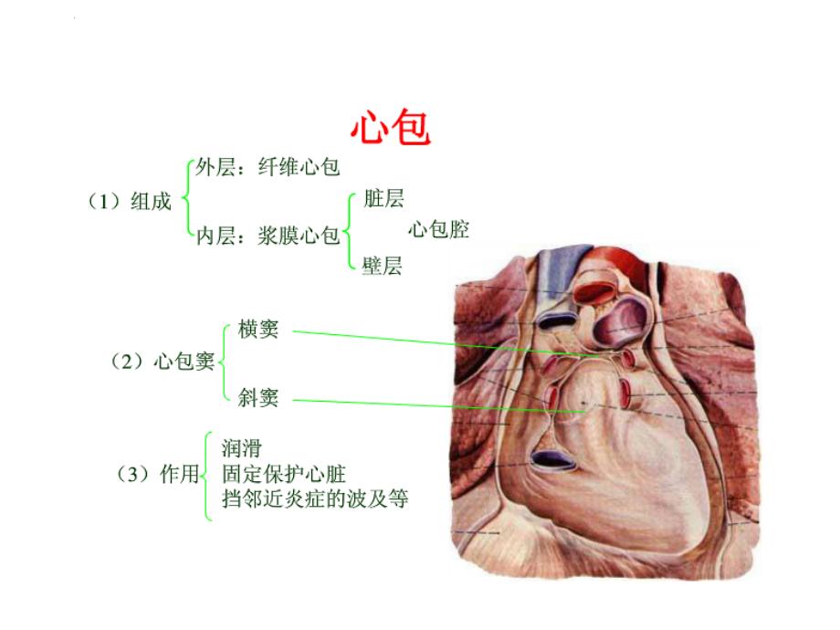 内科学课件急性心包炎课件_第2页