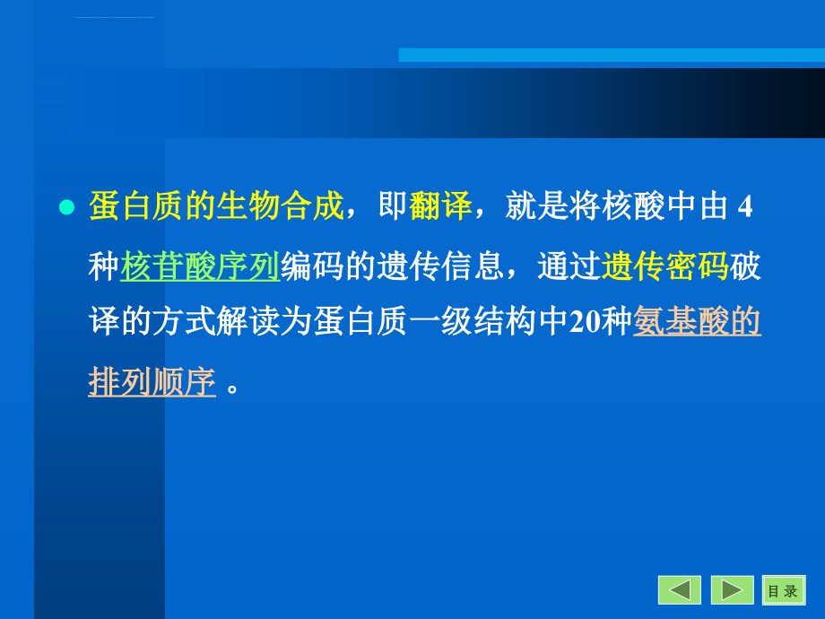 沈阳药科大学生物化学课件——第12章-翻译_第2页