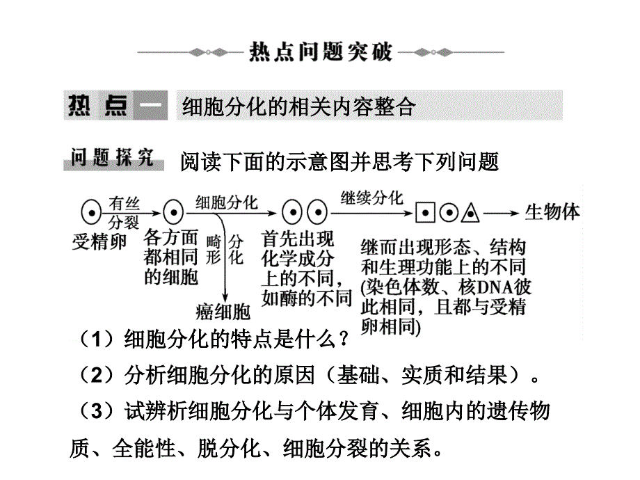 学案-细胞的分化、癌变、衰老和凋亡_第2页