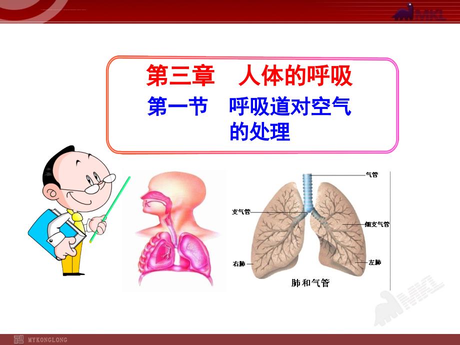 初中生物多媒体教课件第章-第节--呼吸道对空气的处理人教七级下册_第1页