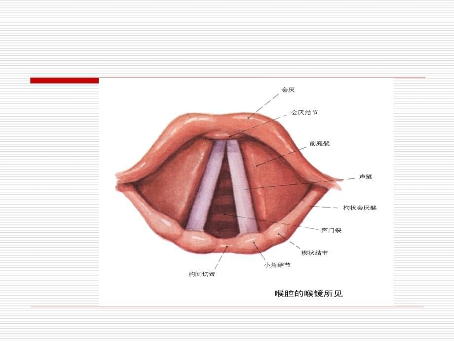 气管插管操作流程图文剖析_第5页