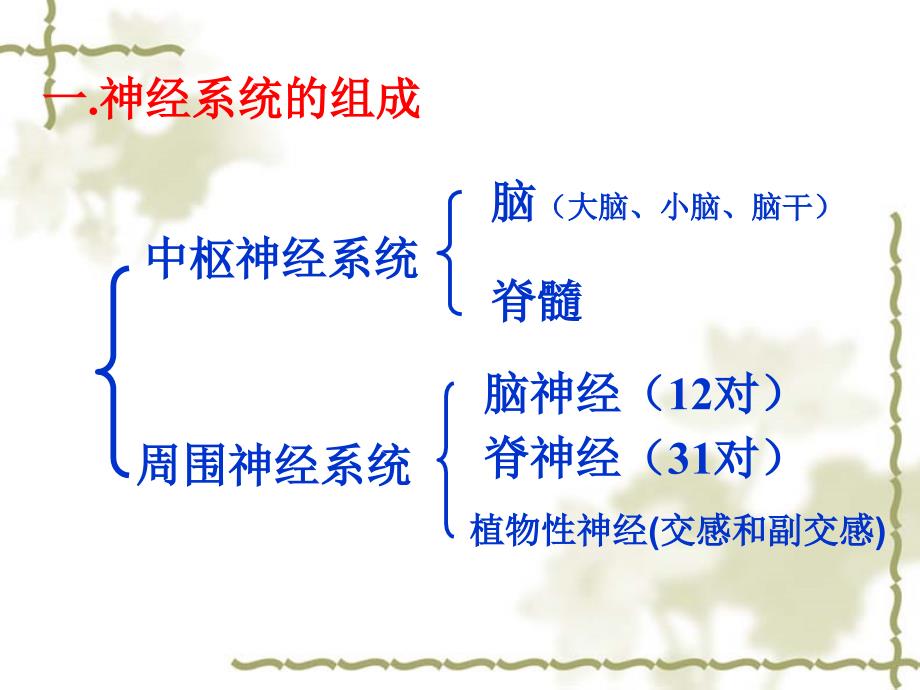 生物：《人和高等动物的神经调节》复习课件(新人教版必修3)_第3页