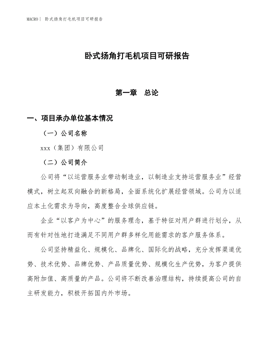 卧式扬角打毛机项目可研报告_第1页