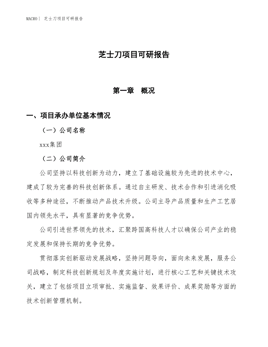 芝士刀项目可研报告_第1页