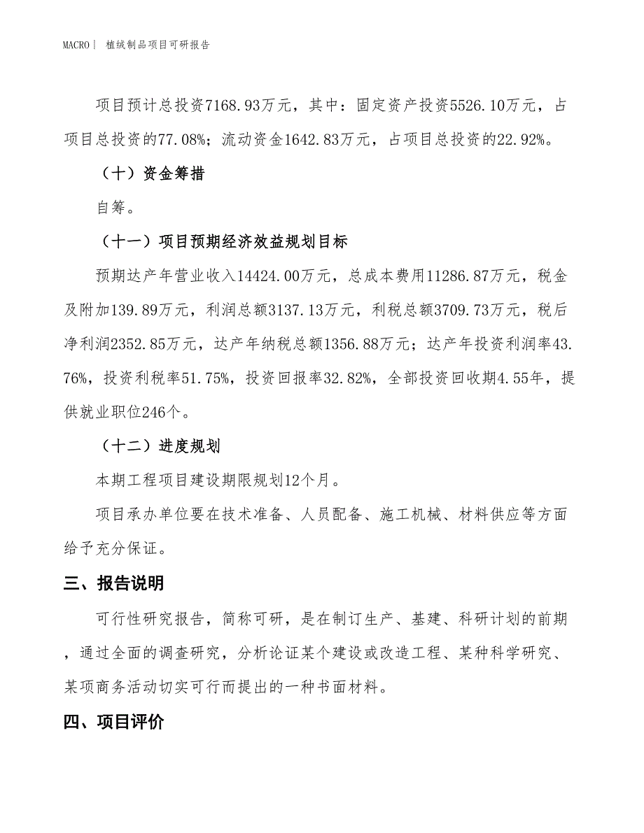 植绒制品项目可研报告_第4页