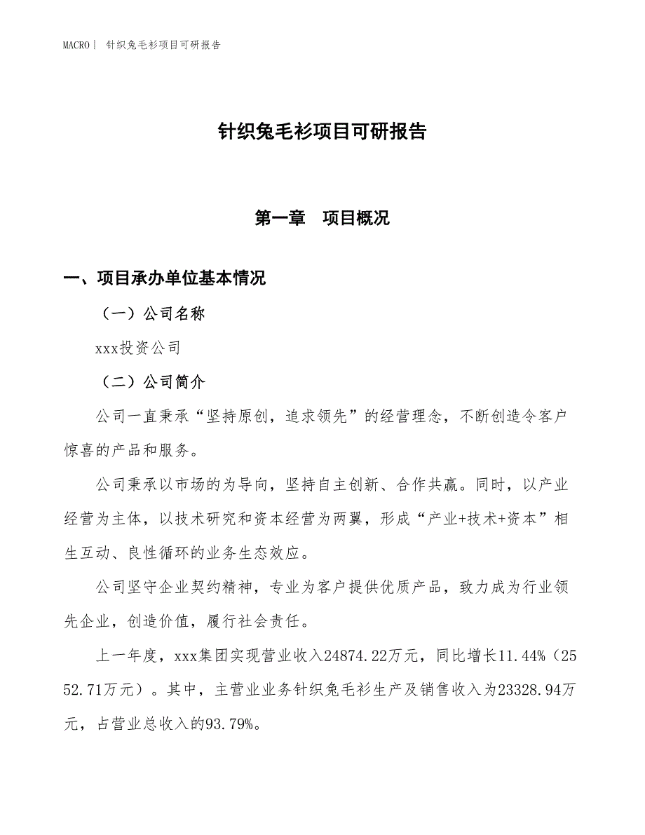 针织兔毛衫项目可研报告_第1页