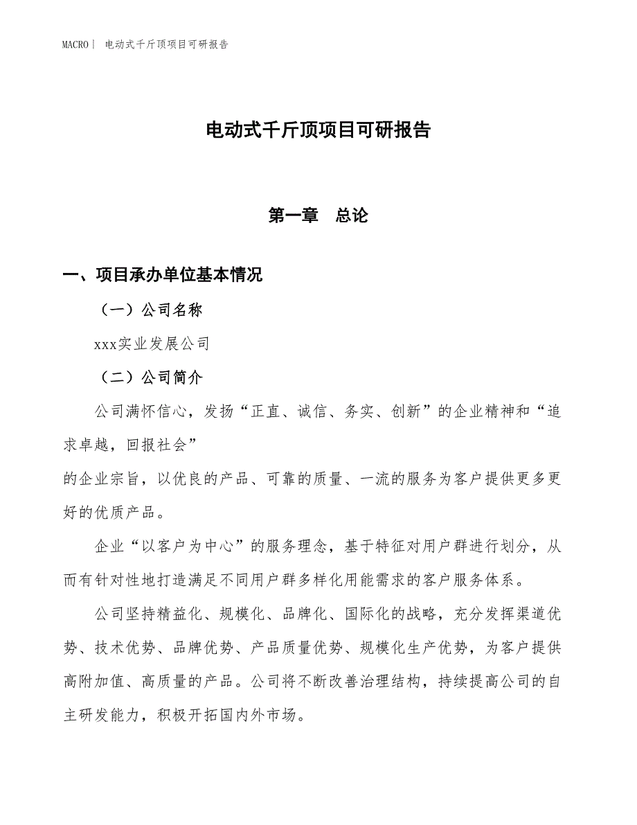 电动式千斤顶项目可研报告_第1页