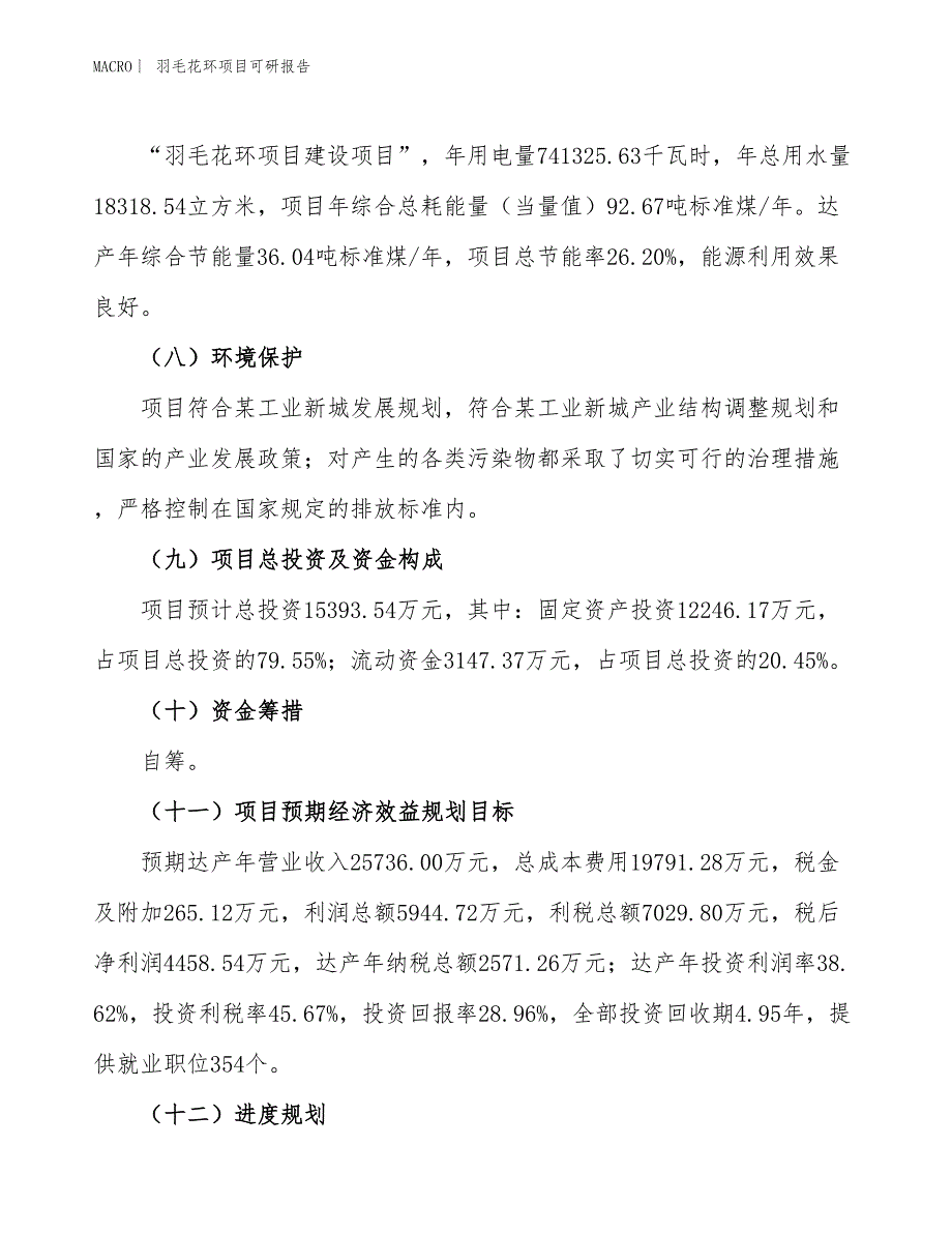羽毛花环项目可研报告_第3页