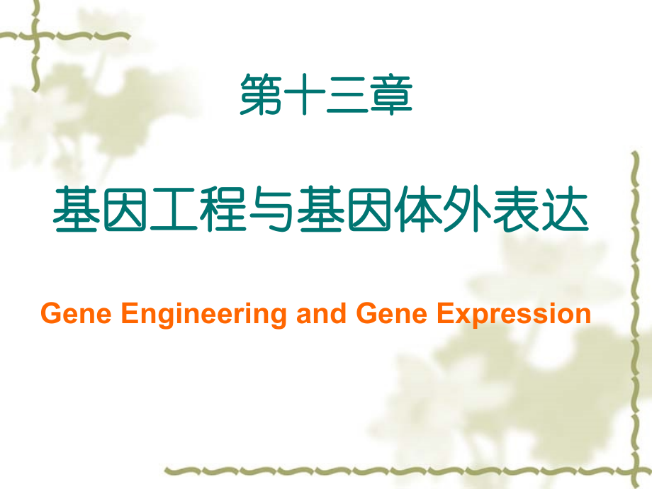 分子生物学--基因工程与基因体外表达课件_第2页