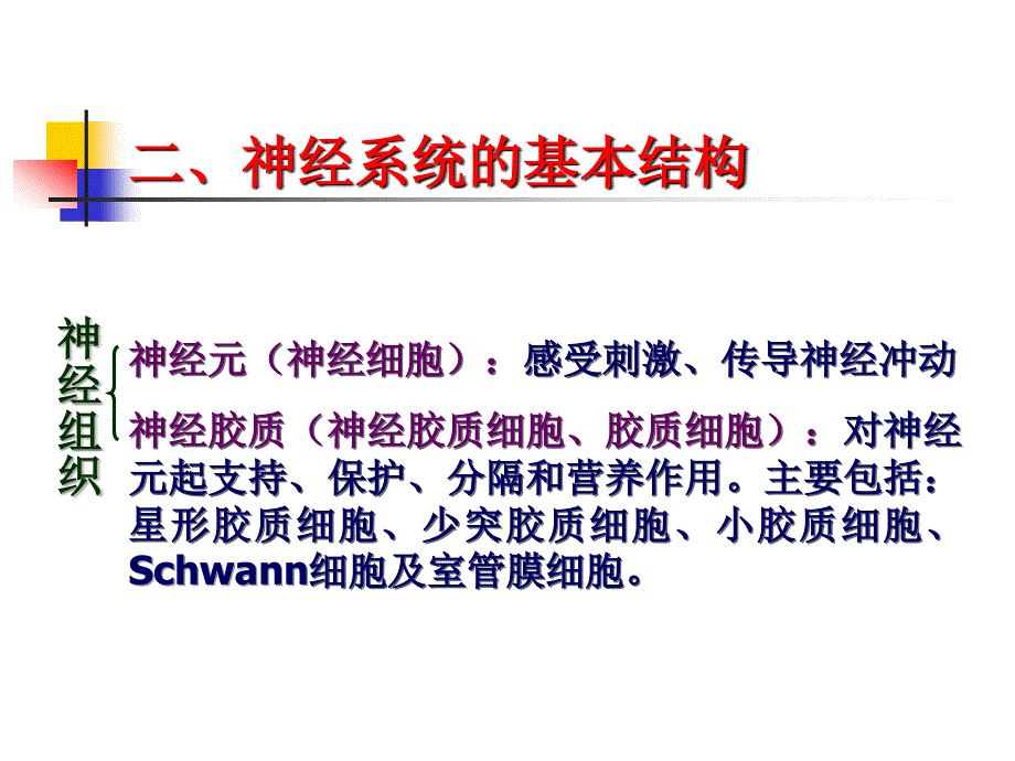 神经系统总论周围神经系统(一)_第3页