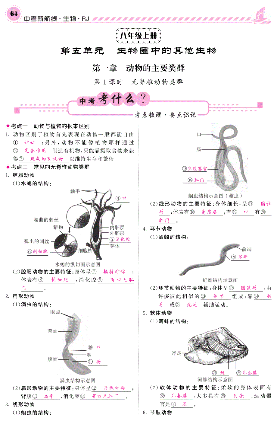 中考生物 第一轮系统复习 八上 第五单元 生物圈中的其他生物（pdf） 新人教版1_第1页