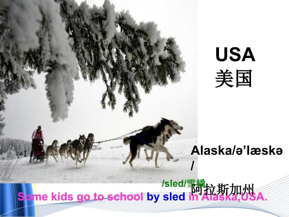 新版六年级上册 Unit2 Ways to go to school B read and wri课件_第3页