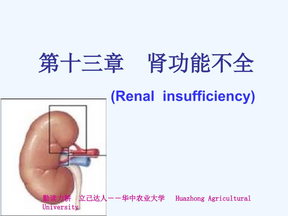 动物病理学13第十三章--肾功能不全ppt课件_第1页