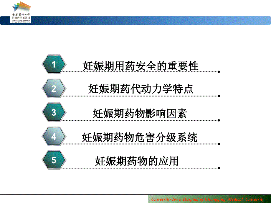 妊娠期合理用药怀孕与哺乳期标示规则用药安全探讨_第2页