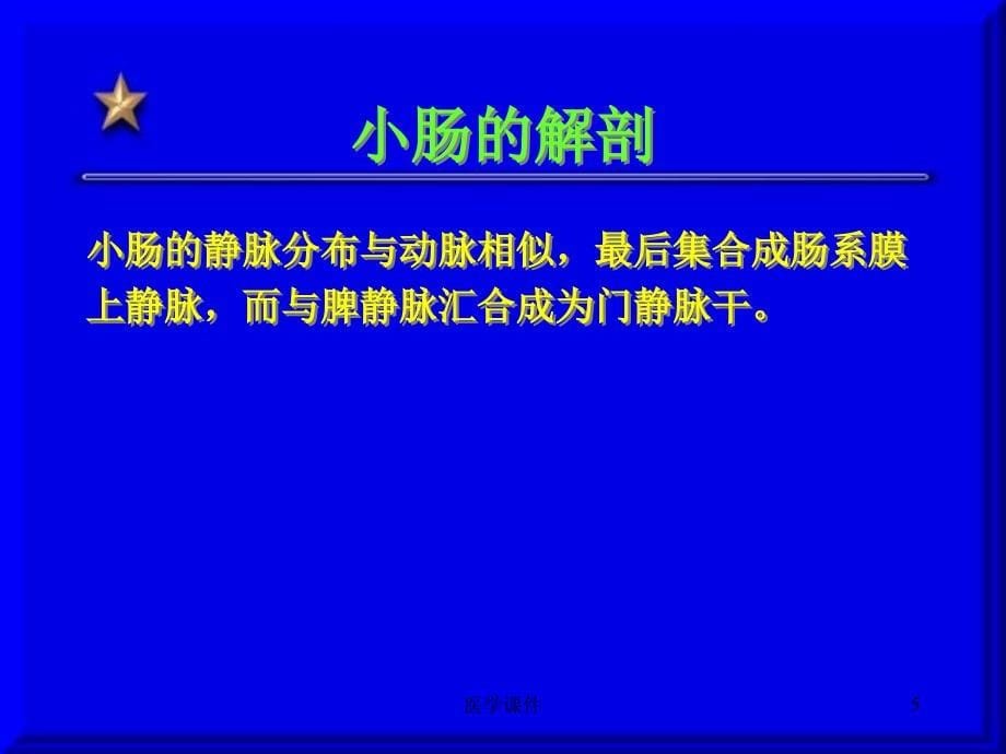 最全十大名校外科学--小肠疾病-ppt课件_第5页