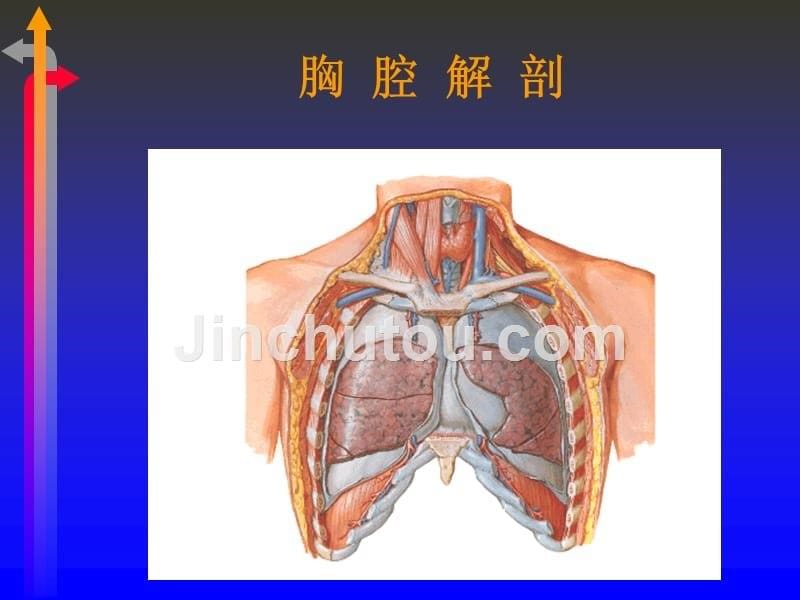 反常呼吸ppt课件_第5页