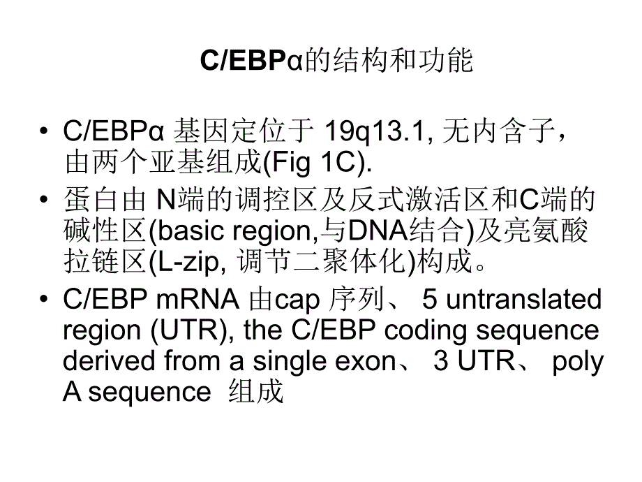 分子肿瘤学--增强子结合蛋白cebpα与细胞的增生、分化和肿瘤课件_第4页