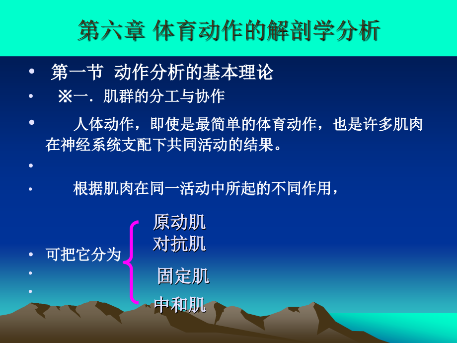 ch3-运动系统6--体育动作解剖学分析(1)_第4页