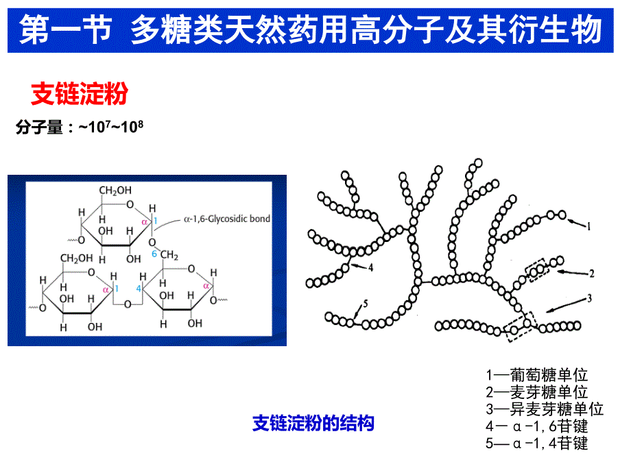 天然药用高分子材料及其衍生物（1）_第4页