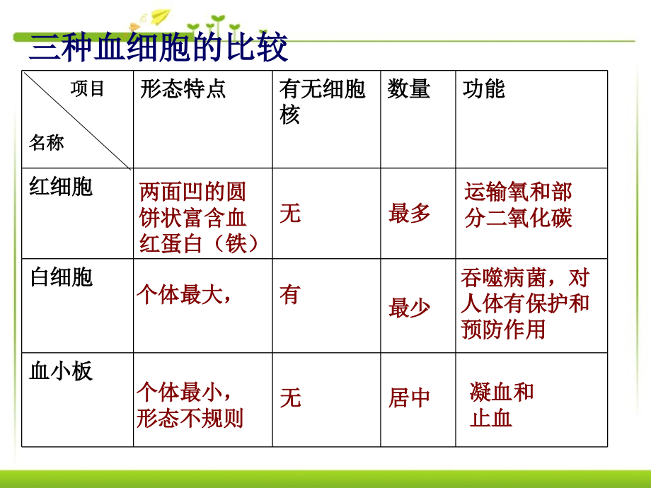 《输送血液的泵-心脏》人体内物质的运输ppt课件3-(共62张ppt)_第3页