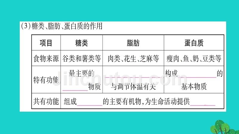 中考生物总复习 第4单元 生物圈中的人课件 北师大版1_第4页