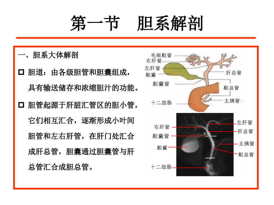 胆道系统疾病ct诊断_第2页