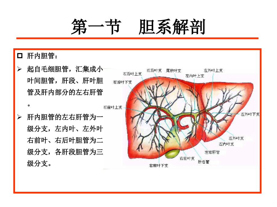 胆道系统疾病ct诊断_第3页