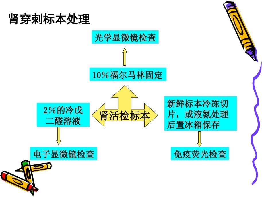 2013泌尿系统纲要_第5页