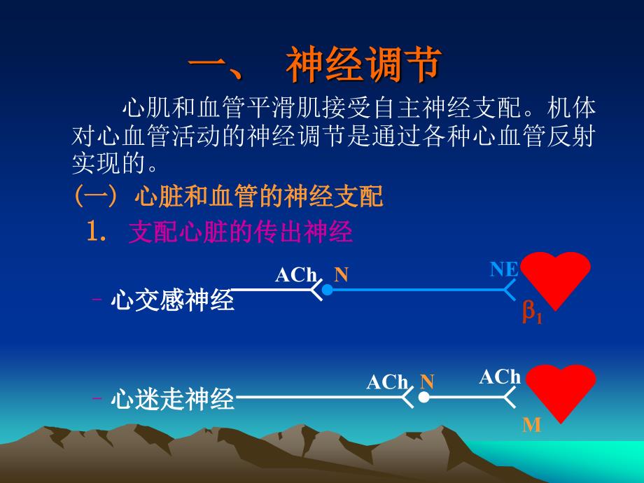 循环生理-心血管活动的调节_第2页